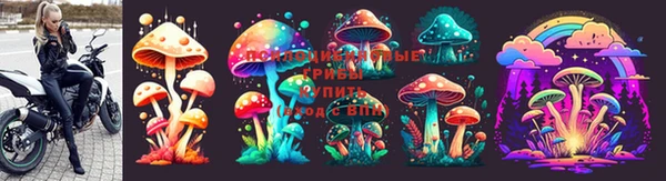 наркотики Алексеевка