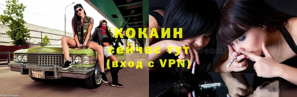 дживик Алексин