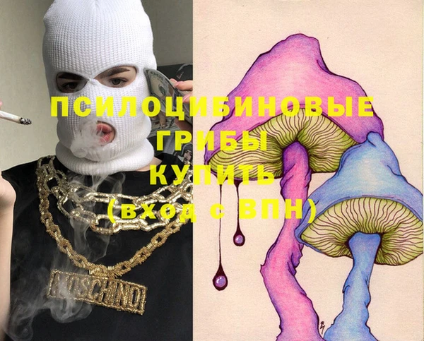 круглые Алзамай