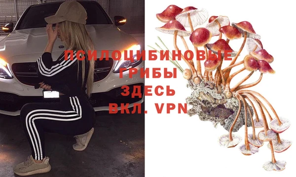 дживик Алексин