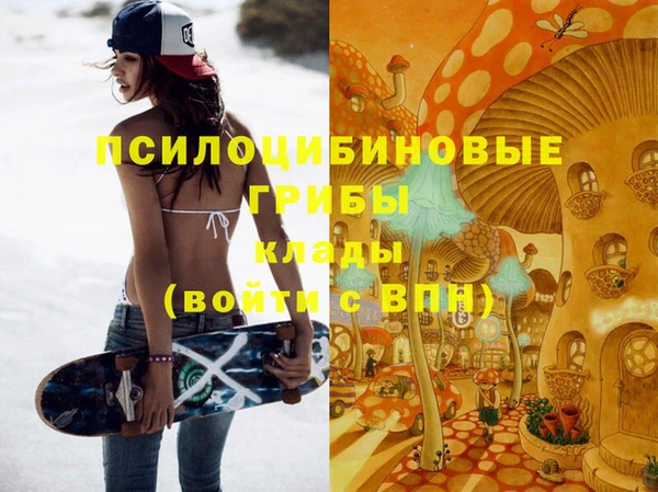 круглые Алзамай