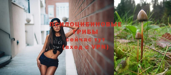 дживик Алексин