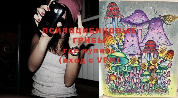 гашик Зеленокумск